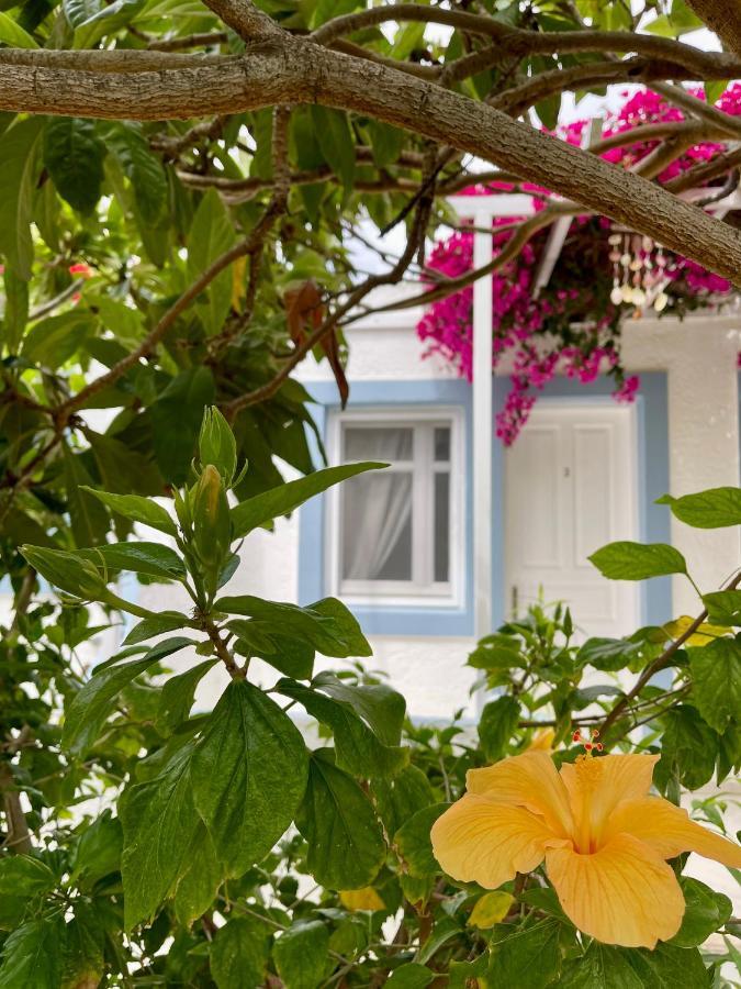 Seaside Studios Arkasa Karpathos Exterior foto